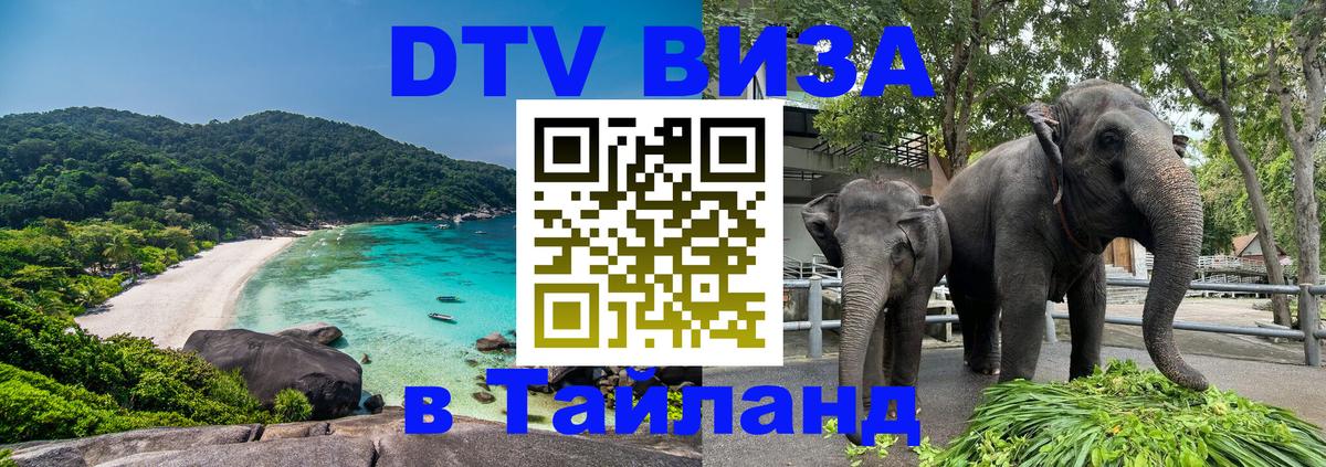 Оформление DTV визы под ключ: стоимость и тарифы, только загранпаспорт - Сан-Сальвадор Оформление DTV визы под ключ: стоимость и тарифы, только загранпаспорт - Сан-Сальвадор